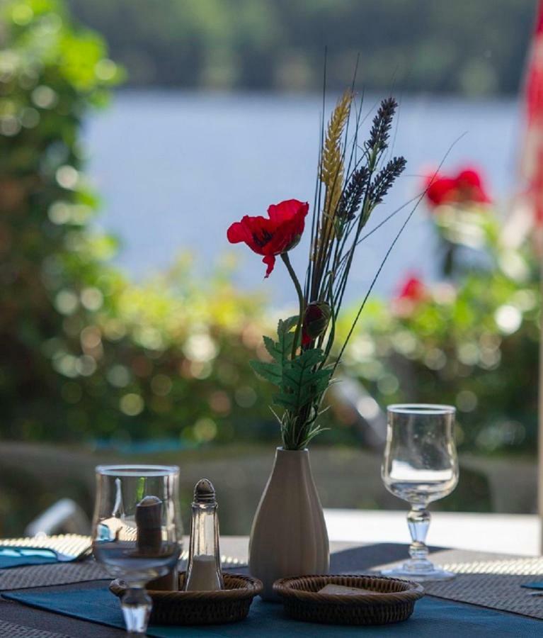 Logis Hotel Du Lac Нёвик Экстерьер фото